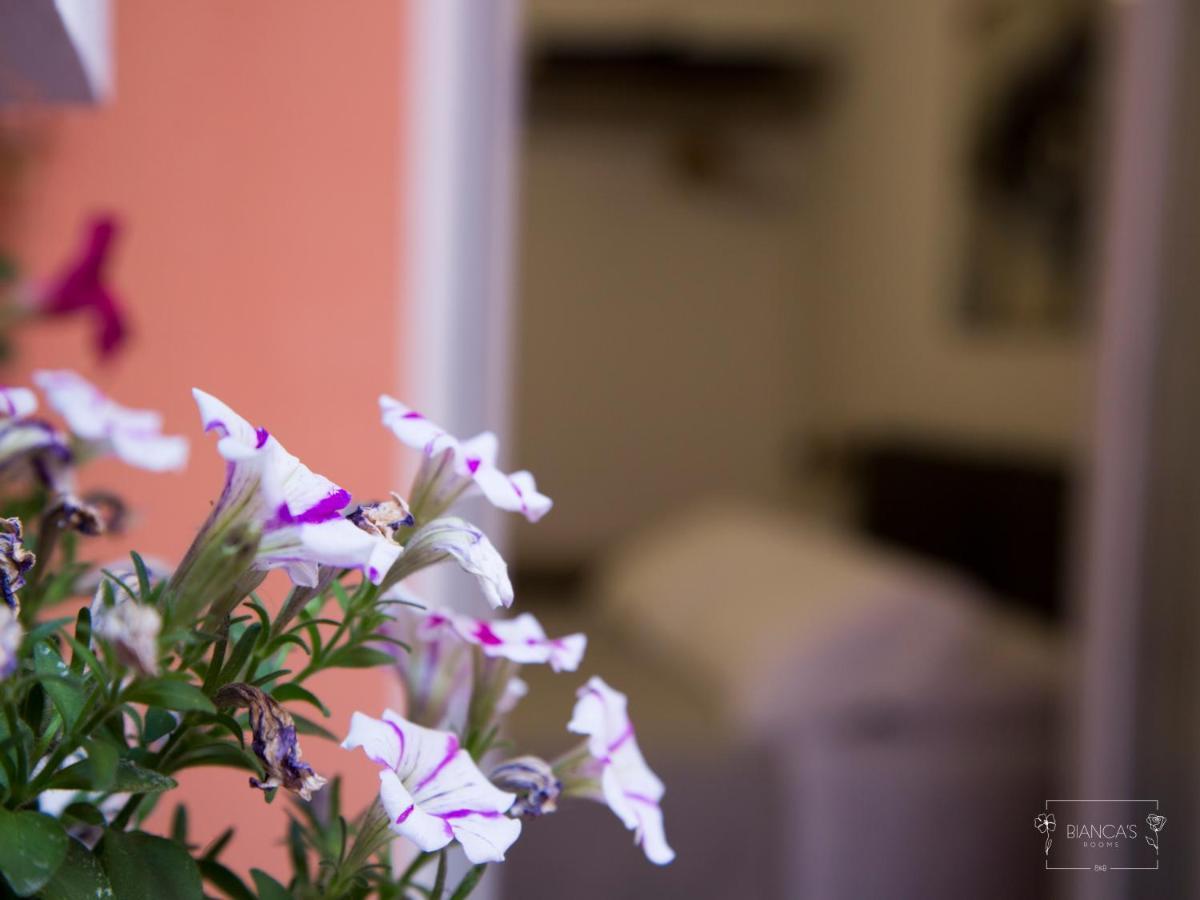 Bianca'S Rooms Trani Zewnętrze zdjęcie
